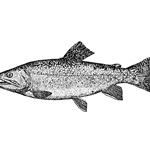 NEW JERSEY STATE