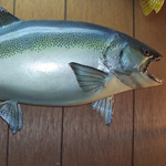 OREGON STATE