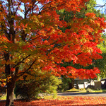 VERMONT STATE