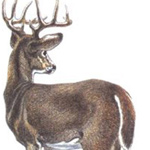 WISCONSIN STATE