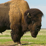 WYOMING STATE