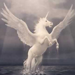 Pegasus