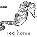 Seahorse