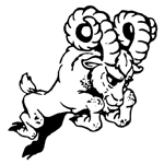 Sheep & Ram