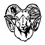 Sheep & Ram