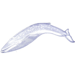Blue Whale