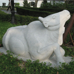 Ox